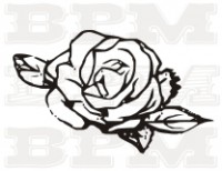 /album/kvety-stromy/kvety-7-jpg/